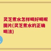 灵芝煮水怎样喝好喝呢图片(灵芝煮水的正确喝法)