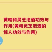 黄精和灵芝泡酒功效与作用(黄精灵芝泡酒的惊人功效与作用)