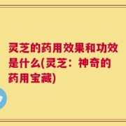 灵芝的药用效果和功效是什么(灵芝：神奇的药用宝藏)