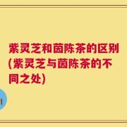 紫灵芝和茵陈茶的区别(紫灵芝与茵陈茶的不同之处)