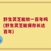 野生灵芝能放一百年吗(野生灵芝能保存长达百年)