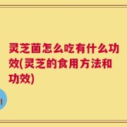 灵芝菌怎么吃有什么功效(灵芝的食用方法和功效)