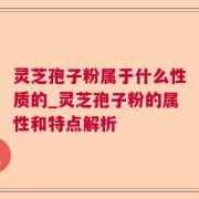 灵芝孢子粉属于什么性质的_灵芝孢子粉的属性和特点解析