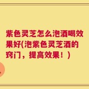 紫色灵芝怎么泡酒喝效果好(泡紫色灵芝酒的窍门，提高效果！)