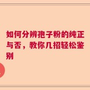 如何分辨孢子粉的纯正与否，教你几招轻松鉴别