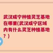 武汉咸宁种植灵芝基地在哪里(武汉咸宁区域内有什么灵芝种植基地？)