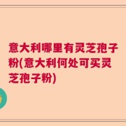意大利哪里有灵芝孢子粉(意大利何处可买灵芝孢子粉)