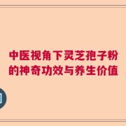 中医视角下灵芝孢子粉的神奇功效与养生价值