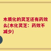 木质化的灵芝还有药效么(木化灵芝：药效不减少)