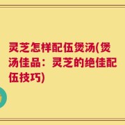 灵芝怎样配伍煲汤(煲汤佳品：灵芝的绝佳配伍技巧)