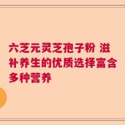六芝元灵芝孢子粉 滋补养生的优质选择富含多种营养