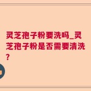 灵芝孢子粉要洗吗_灵芝孢子粉是否需要清洗？