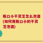瓶口小干灵芝怎么泡酒(如何用瓶口小的干灵芝泡酒)