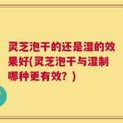 灵芝泡干的还是湿的效果好(灵芝泡干与湿制哪种更有效？)