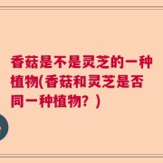 香菇是不是灵芝的一种植物(香菇和灵芝是否同一种植物?)