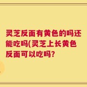 灵芝反面有黄色的吗还能吃吗(灵芝上长黄色反面可以吃吗？
