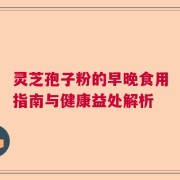 灵芝孢子粉的早晚食用指南与健康益处解析