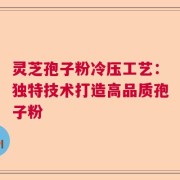 灵芝孢子粉冷压工艺：独特技术打造高品质孢子粉
