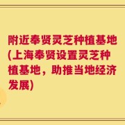 附近奉贤灵芝种植基地(上海奉贤设置灵芝种植基地，助推当地经济发展)