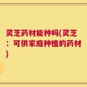 灵芝药材能种吗(灵芝：可供家庭种植的药材)