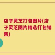 店子灵芝打包图片(店子灵芝图片精选打包销售)