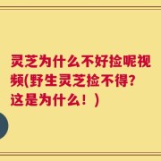 灵芝为什么不好捡呢视频(野生灵芝捡不得？这是为什么！)