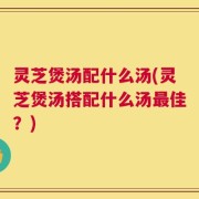 灵芝煲汤配什么汤(灵芝煲汤搭配什么汤最佳？)
