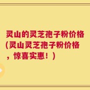 灵山的灵芝孢子粉价格(灵山灵芝孢子粉价格，惊喜实惠！)