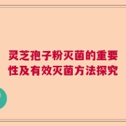 灵芝孢子粉灭菌的重要性及有效灭菌方法探究