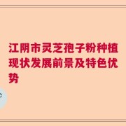 江阴市灵芝孢子粉种植现状发展前景及特色优势