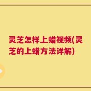 灵芝怎样上蜡视频(灵芝的上蜡方法详解)