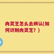 肉灵芝怎么去辨认(如何识别肉灵芝？)