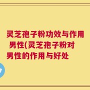 灵芝孢子粉功效与作用 男性(灵芝孢子粉对男性的作用与好处