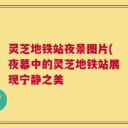 灵芝地铁站夜景图片(夜幕中的灵芝地铁站展现宁静之美