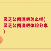 灵芝公园酒吧怎么样(灵芝公园酒吧体验分享)