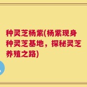 种灵芝杨紫(杨紫现身种灵芝基地，探秘灵芝养殖之路)