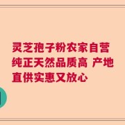 灵芝孢子粉农家自营 纯正天然品质高 产地直供实惠又放心