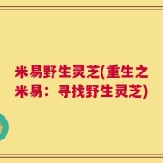 米易野生灵芝(重生之米易：寻找野生灵芝)