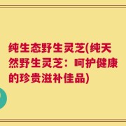 纯生态野生灵芝(纯天然野生灵芝：呵护健康的珍贵滋补佳品)