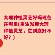 大理种植灵芝好吗现在在哪里(重生发现大理种植灵芝，它到底好不好？)