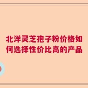 北洋灵芝孢子粉价格如何选择性价比高的产品
