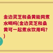 金边灵芝和桑黄能同煮水喝吗(金边灵芝和桑黄可一起煮水饮用吗？)