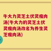 牛大力灵芝土伏灵瘦肉汤(牛大力的灵芝土伏灵瘦肉汤改名为养生灵芝瘦肉汤)