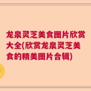 龙泉灵芝美食图片欣赏大全(欣赏龙泉灵芝美食的精美图片合辑)