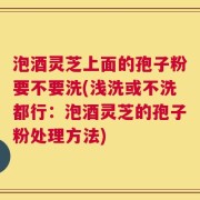 泡酒灵芝上面的孢子粉要不要洗(浅洗或不洗都行：泡酒灵芝的孢子粉处理方法)