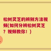 松树灵芝的辨别方法视频(如何分辨松树灵芝？视频教你！)