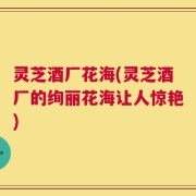 灵芝酒厂花海(灵芝酒厂的绚丽花海让人惊艳)