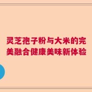 灵芝孢子粉与大米的完美融合健康美味新体验