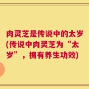 肉灵芝是传说中的太岁(传说中肉灵芝为“太岁”，拥有养生功效)