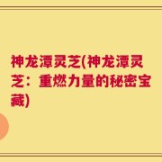 神龙潭灵芝(神龙潭灵芝：重燃力量的秘密宝藏)